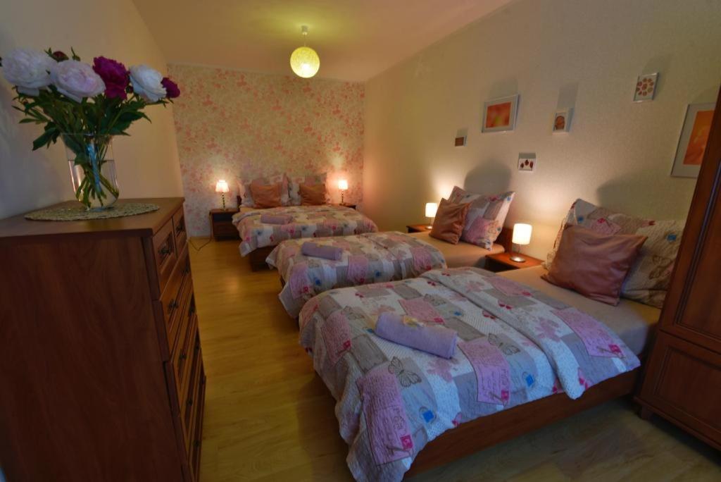 Apartmany Branickov Екстериор снимка